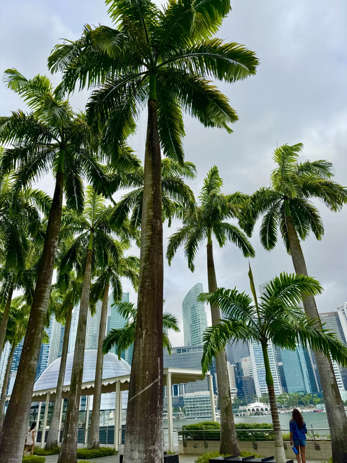 シンガポール　マリーナベイ