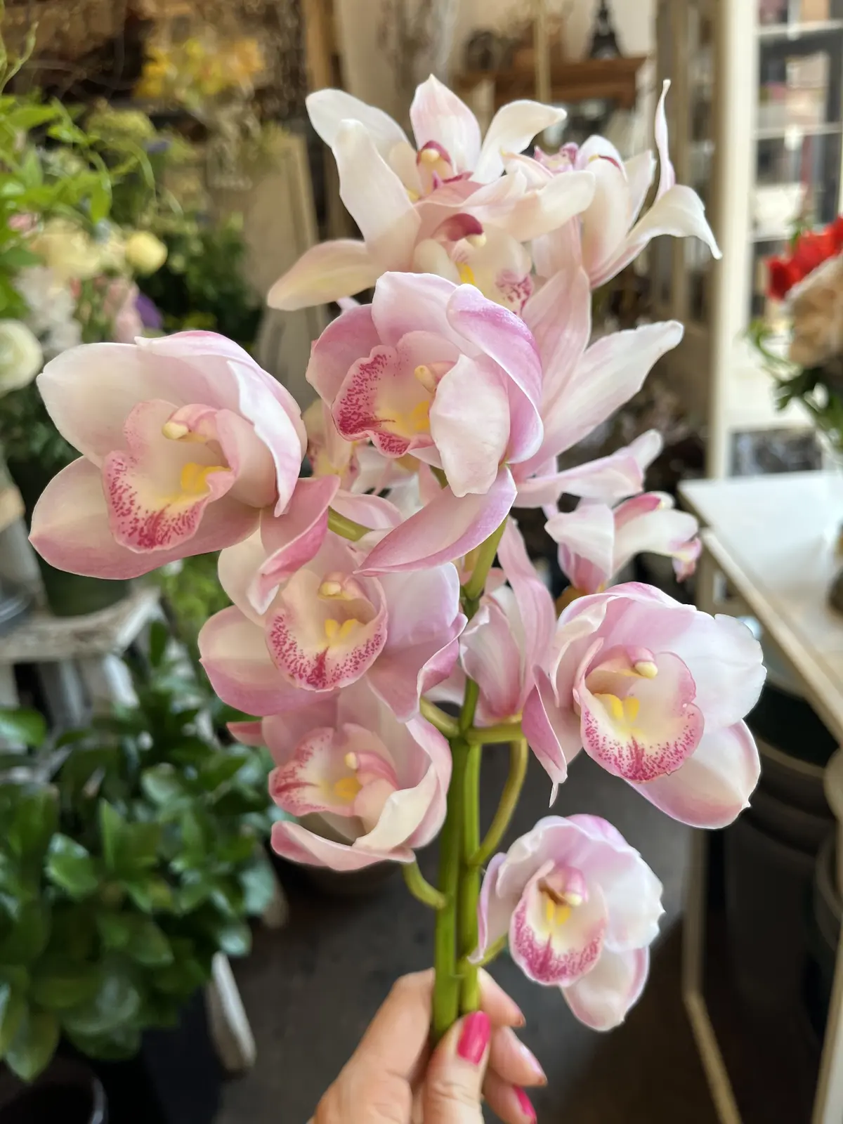 リクエストは〝桜と蘭〟の画像_7