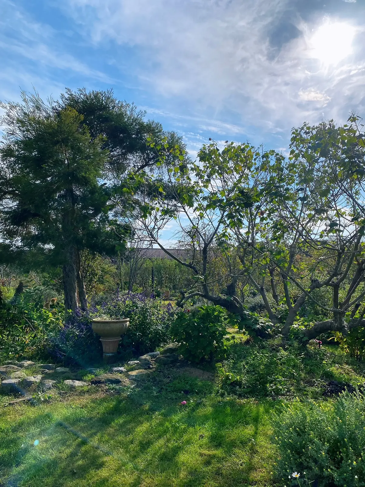 九州旅行　〜別府・美しい大神ファーム〜の画像_11