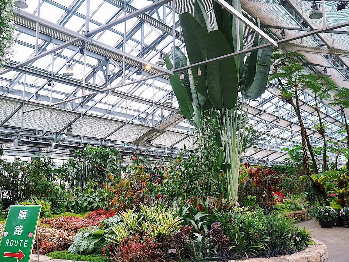 シャツ×ZARAデニムスカートで花スポッの画像_10