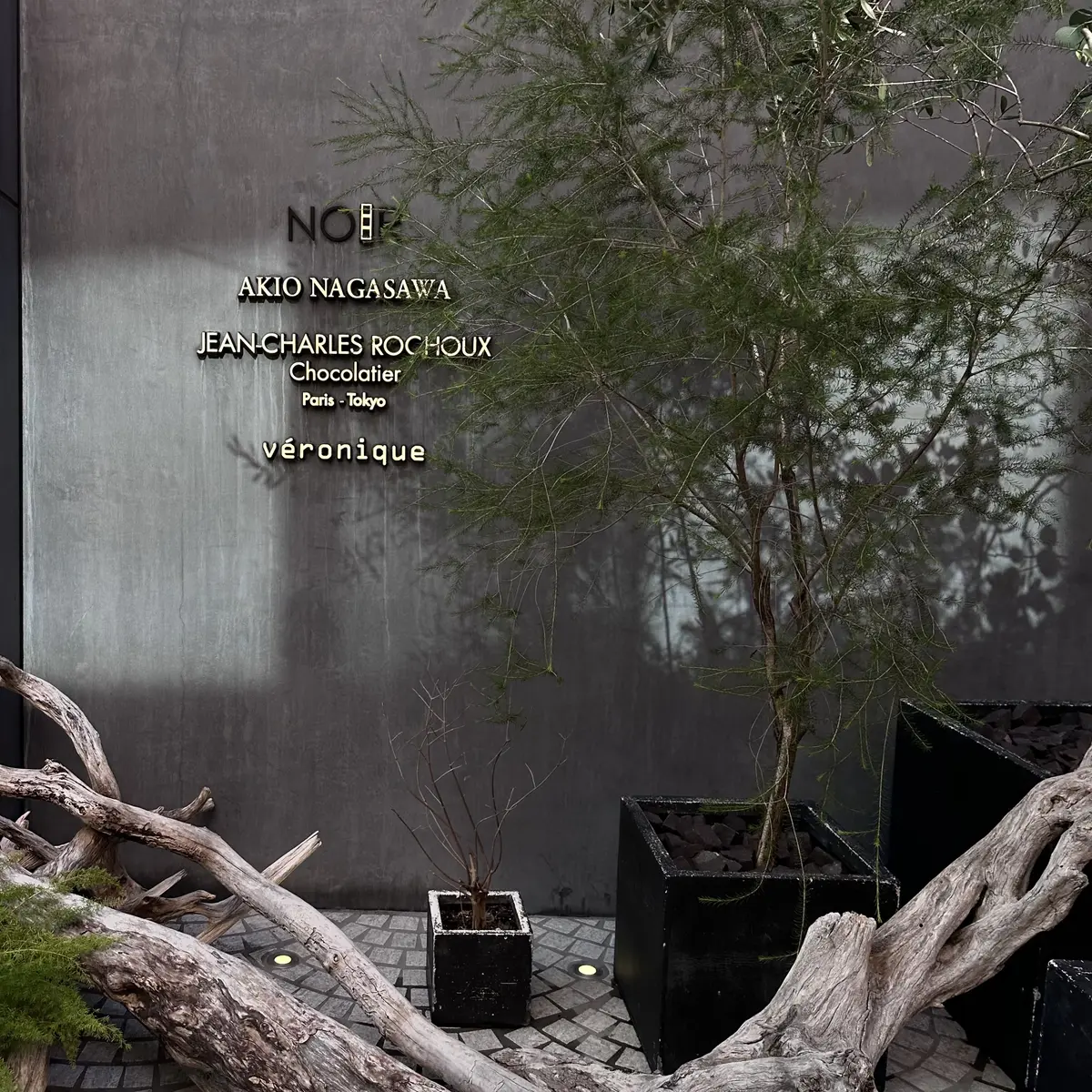 自然と融合された美術館のようなショコラトの画像_1