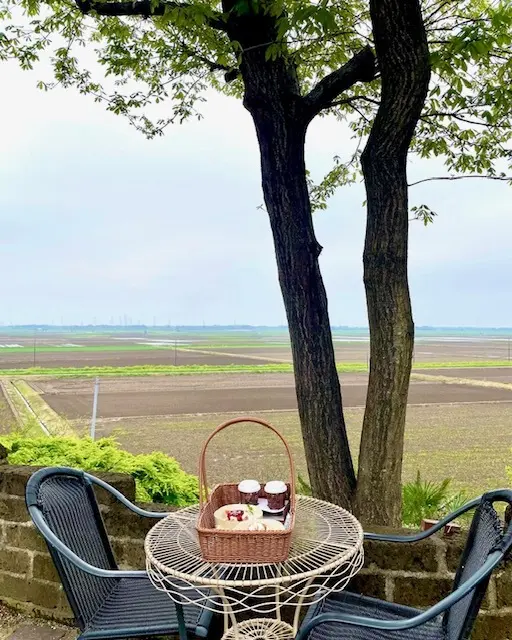 田園風景を眺めながらの絶景ランチ♪の画像_2