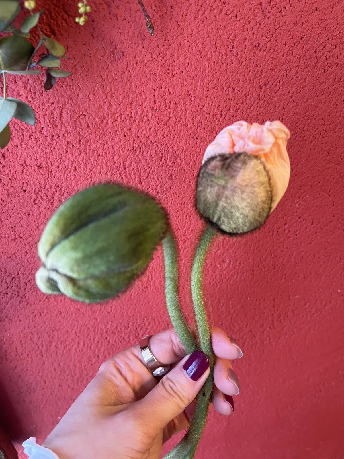 花活色々の画像_9