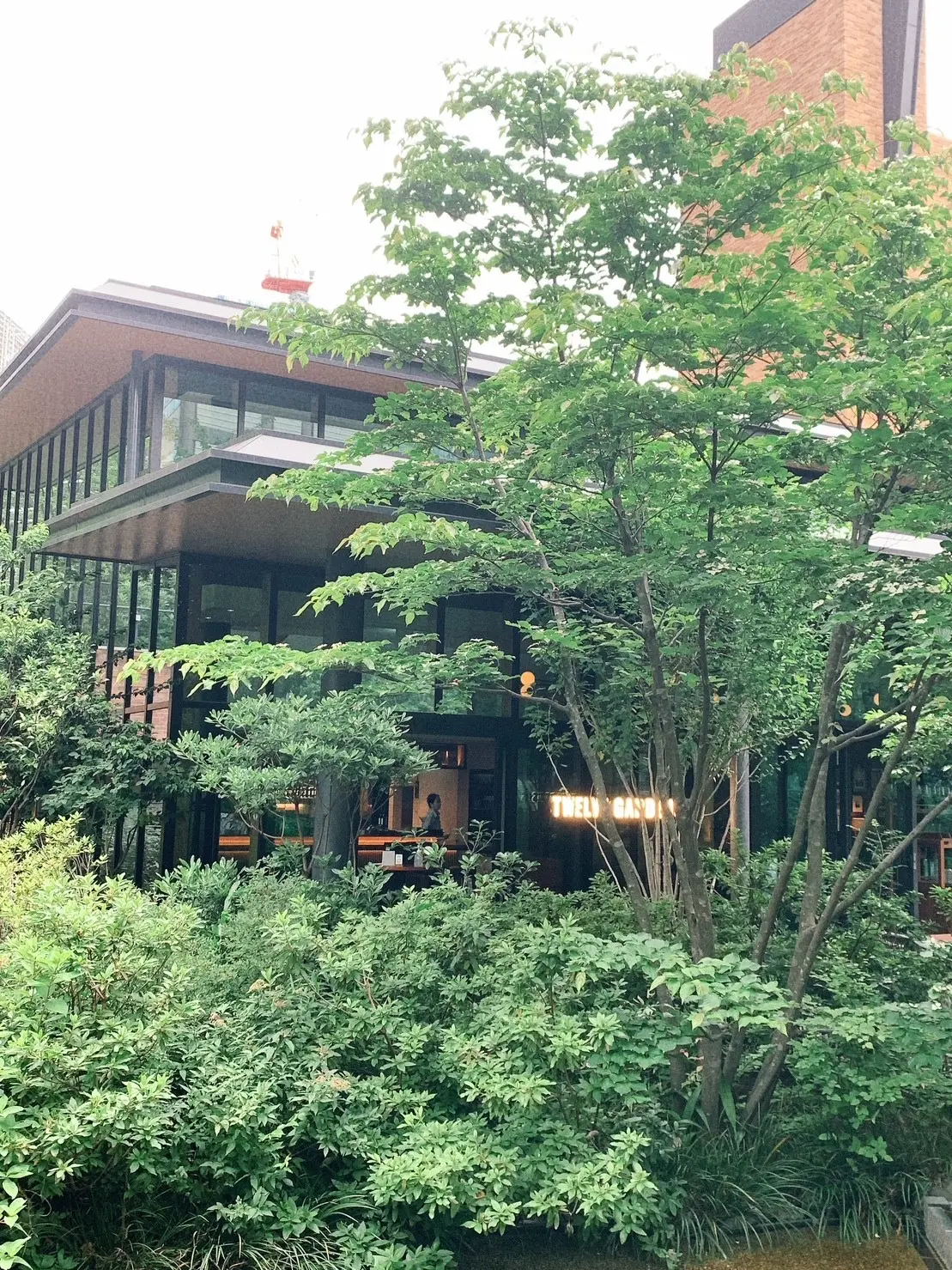 レストラン、TWELVE GADENS BAR & GRILL、トゥエルブ ガーデンズ バー アンド グリル、緑、木々、緑のディスプレイ、イタリアン、アメリカン、イタリア料理、緑あふれるレストラン