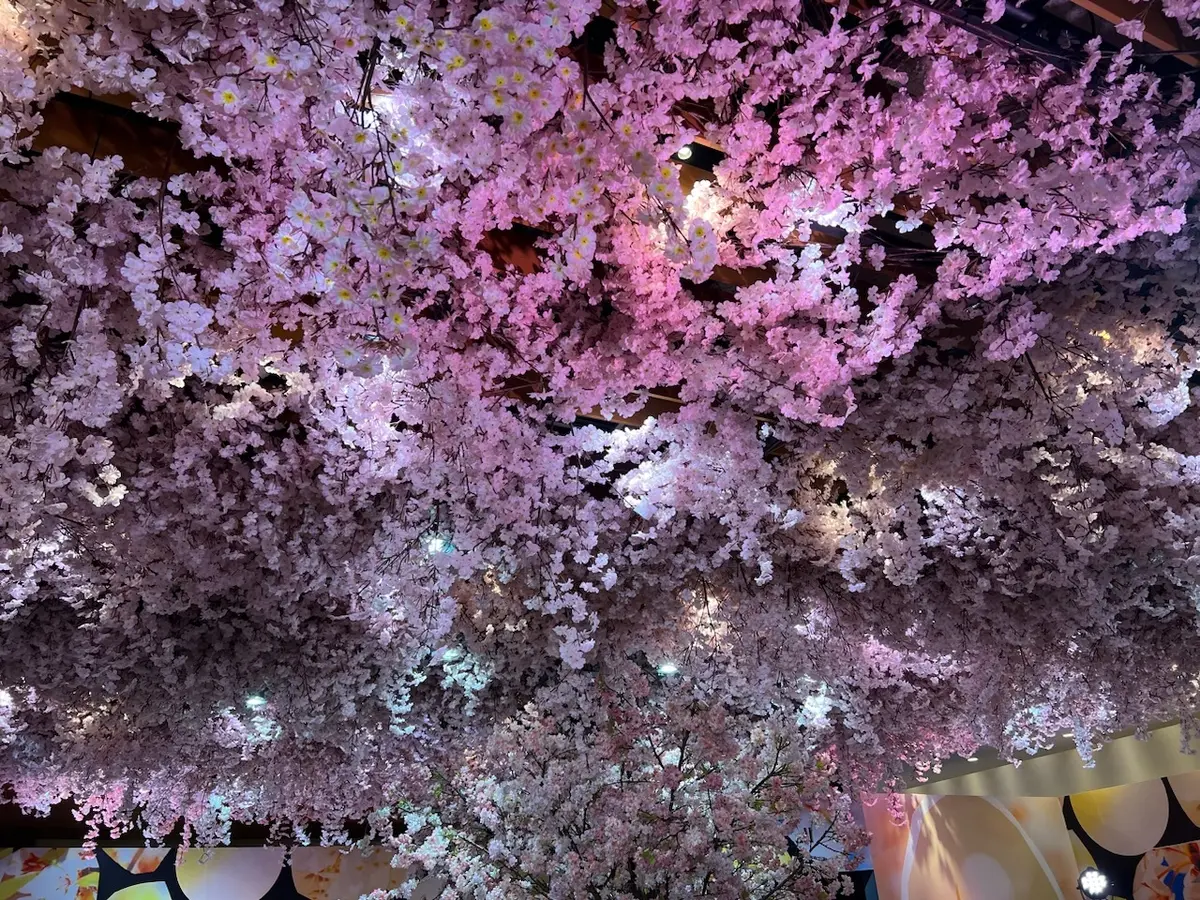 期間限定の春の香り♡ジョー マローン ロの画像_8