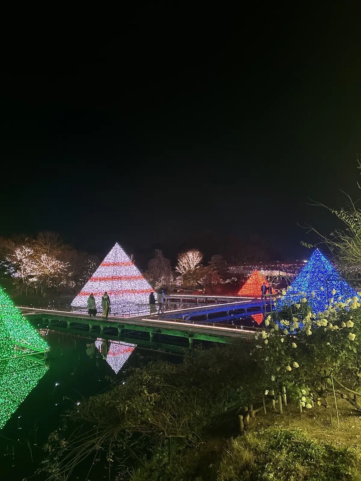 ため息が出るほど綺麗なあしかがフラワーパの画像_4