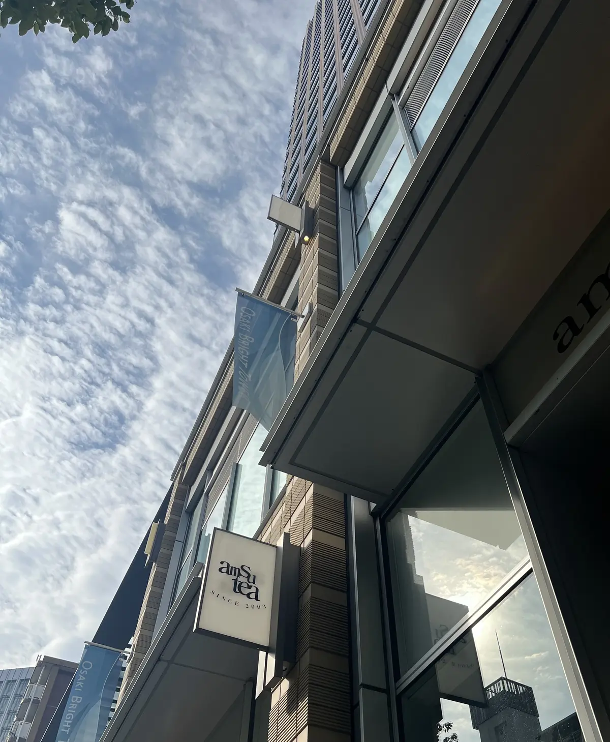 グランドオープンまで待てない！紅茶のアフの画像_16