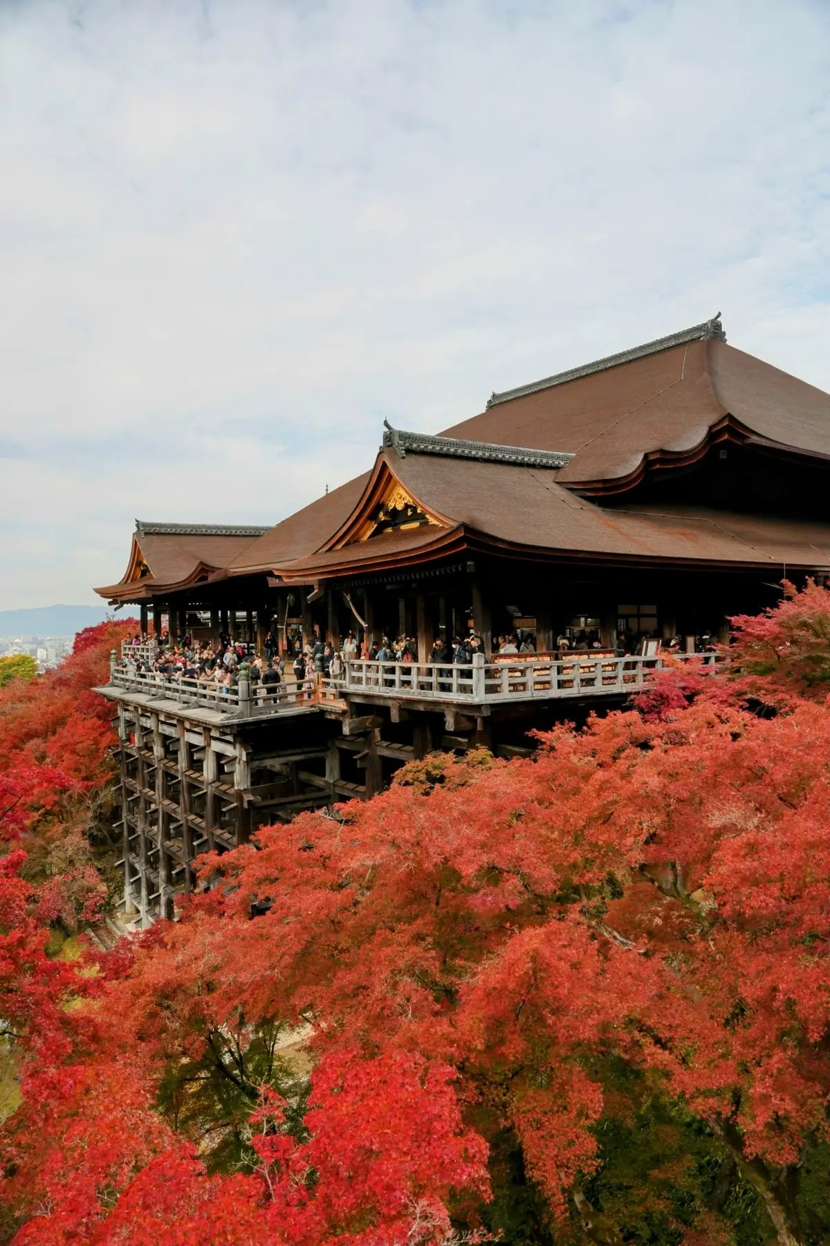 「そうだ京都、行こう。」🍂✨の画像_9