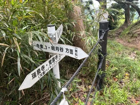 新緑眩しい鎌倉ハイキングに出掛けませんかの画像_21