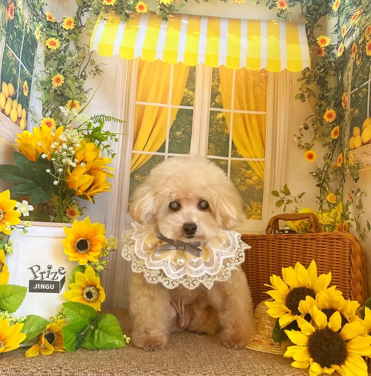 夏の涼やかリネンワンピース2stylinの画像_5