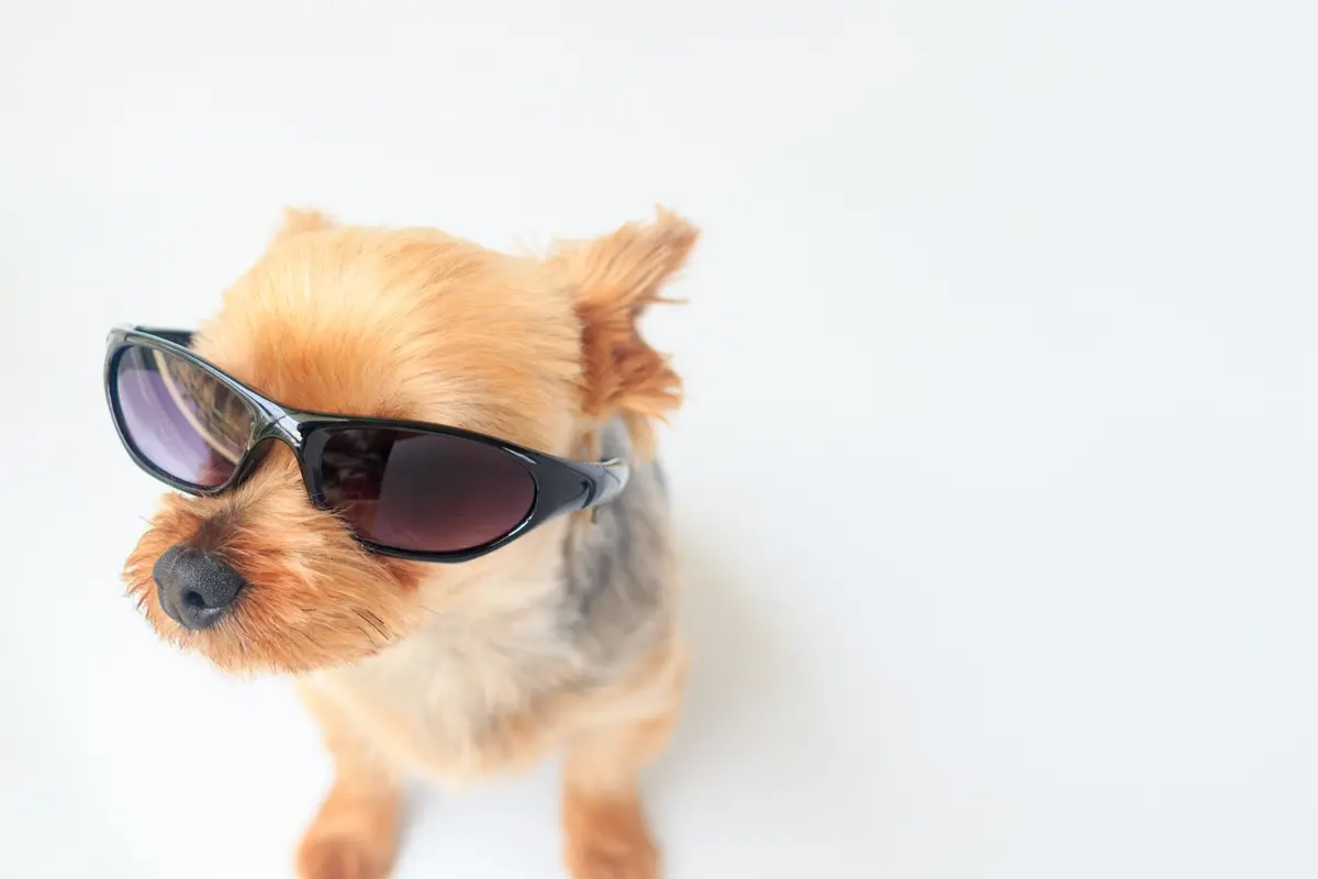 アラフィー女性のホンネ：やってみたら、意の画像_2