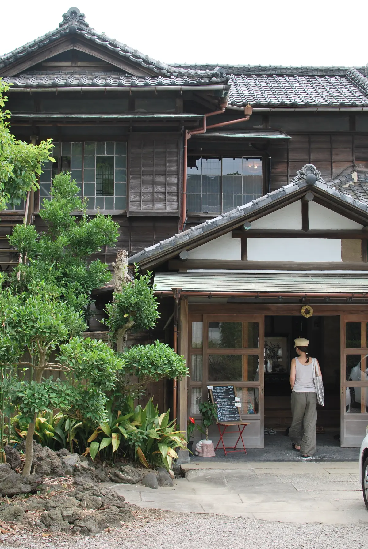 【さかぽんの冒険】七夕☆松ごしに望む海岸の画像_22