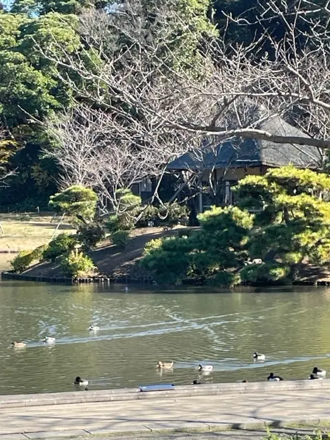 三渓園の画像_3