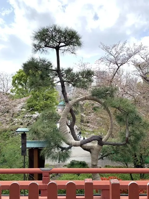 今年もパワースポットへの画像_1