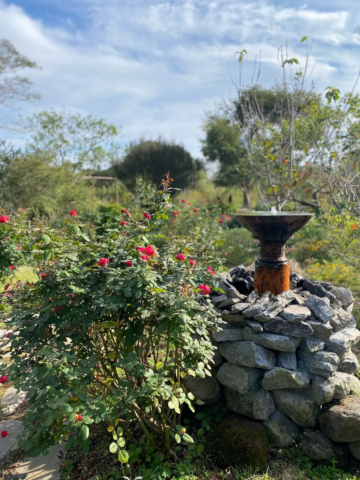 九州旅行　〜別府・美しい大神ファーム〜の画像_10