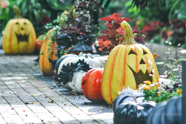 【さかぽんの冒険】ハロウィンの横浜イングの画像_8