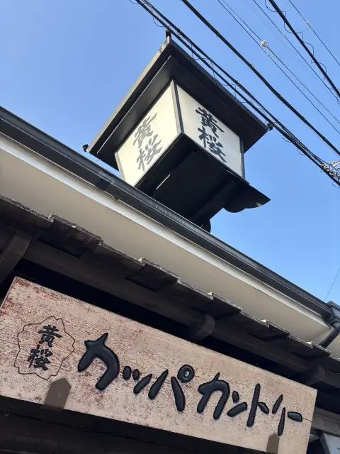 春の伏見で、桜とやさしい時間をの画像_7