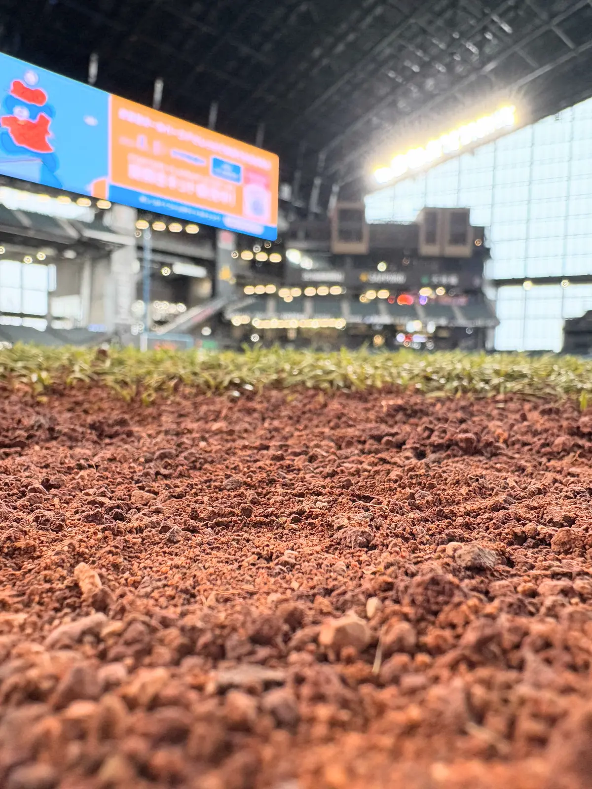 北海道母子旅２日目・エスコンフィールドへの画像_6
