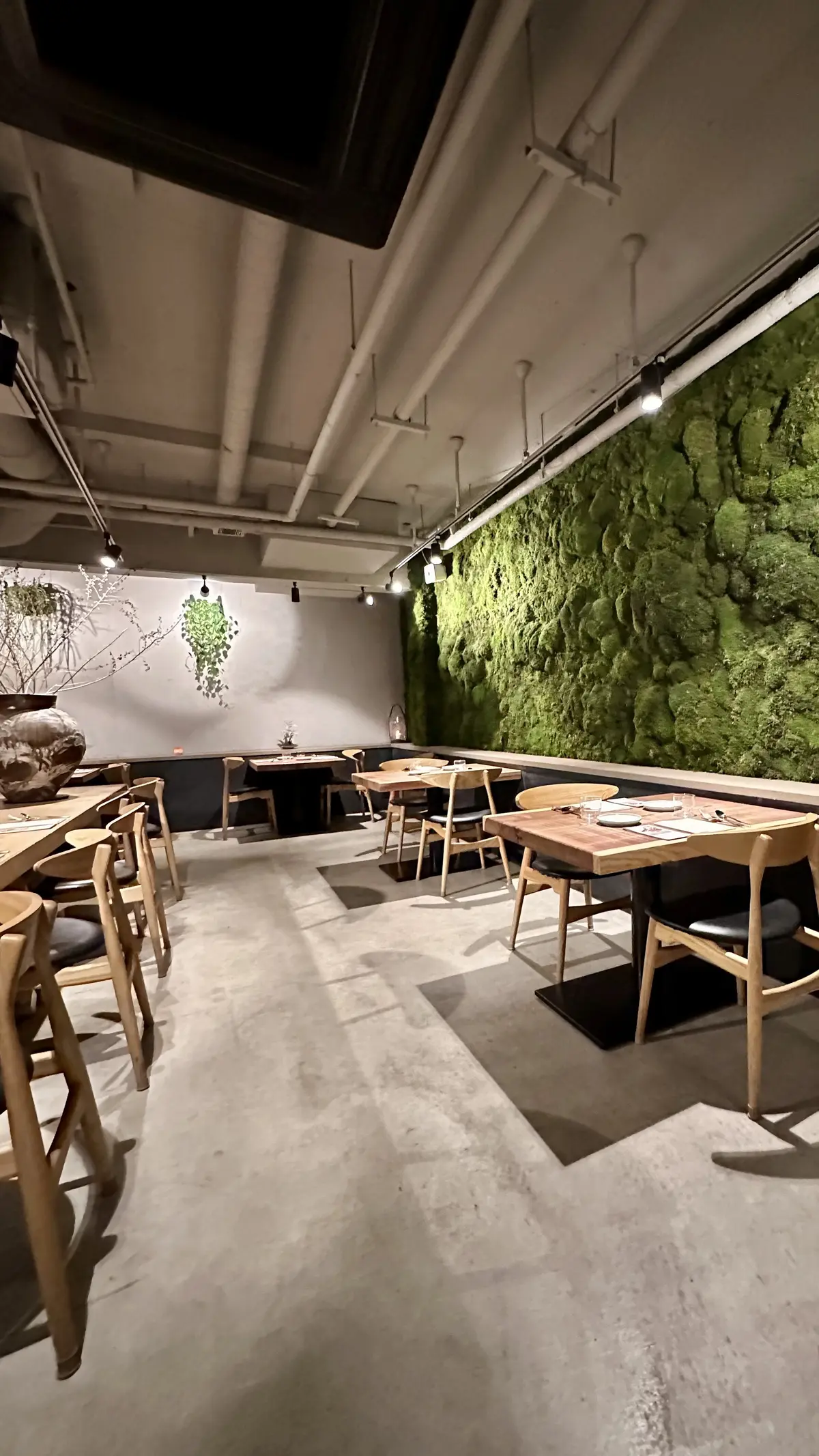 表参道の隠れ家ランチ　豊かな自然を味わうの画像_2