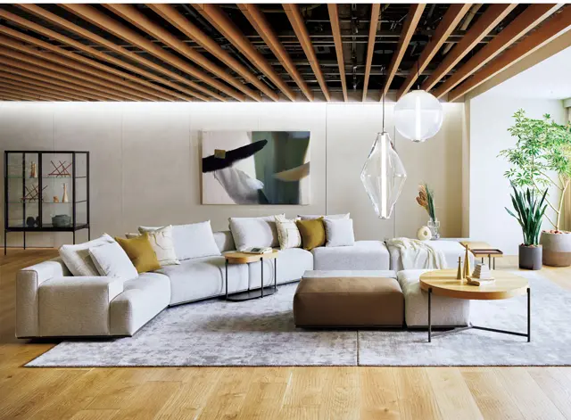 カッシーナ・イクスシー青山本店