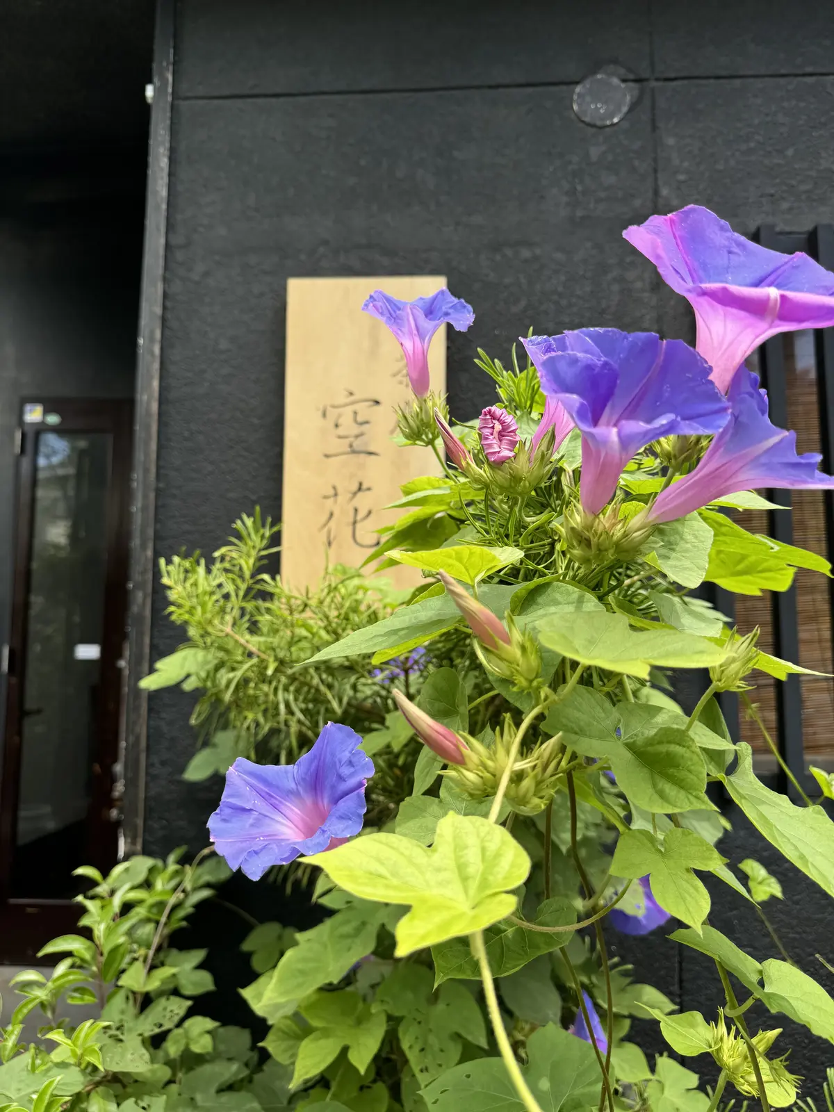 鎌倉散歩のごほうび時間♪の画像_11