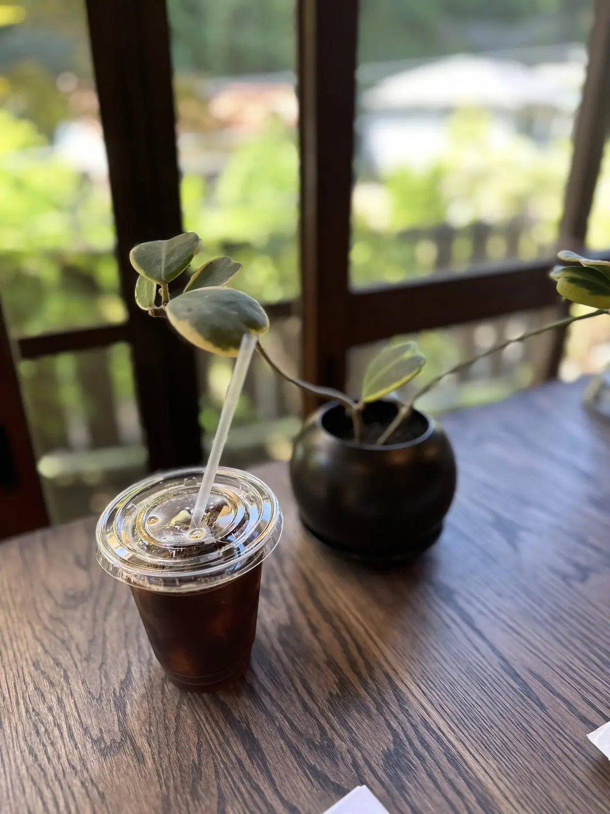 あじさいの花が咲き誇る初夏の北鎌倉明月院の画像_12