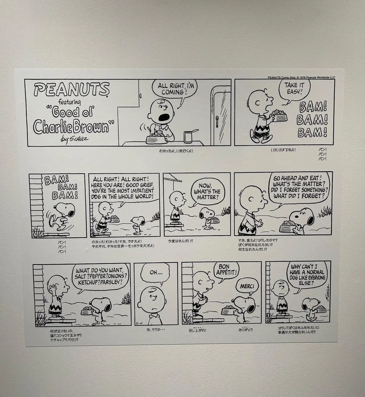 スヌーピーは、今日も語る。コミック