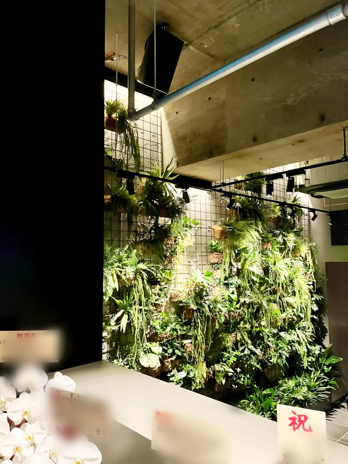 【大人デートレストラン】池袋にNEW Oの画像_2