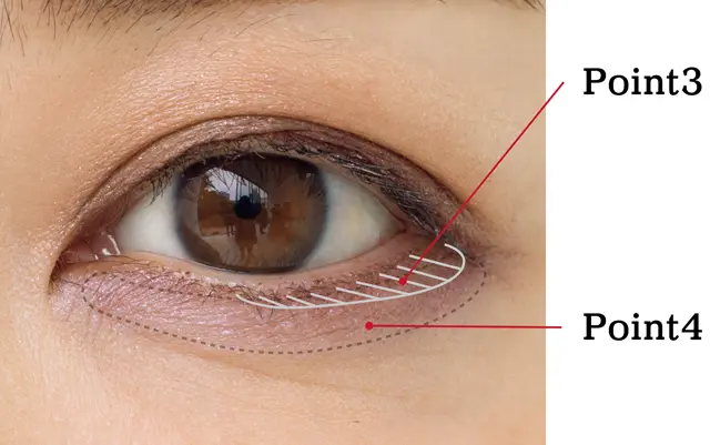 華やかフェミニンアイMAPの解説