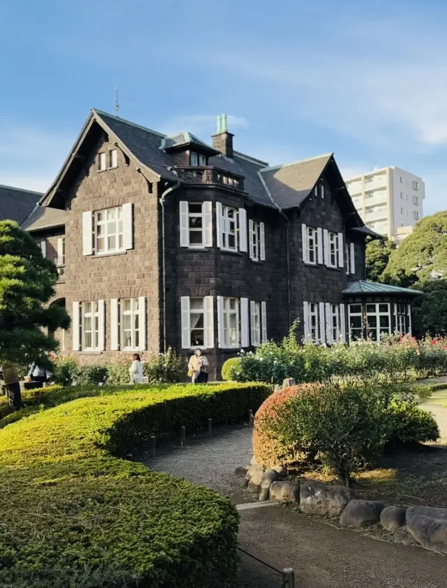 美しいバラと紅葉、旧古河庭園への画像_3