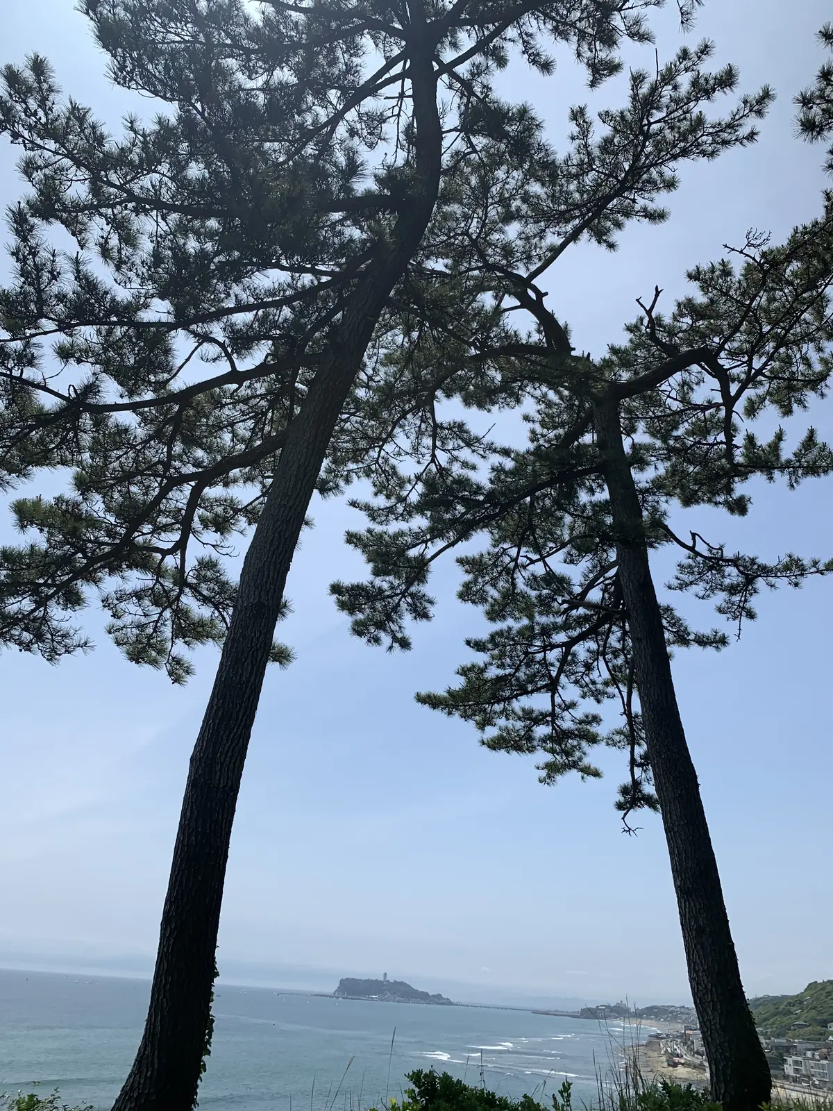 鎌倉海浜公園