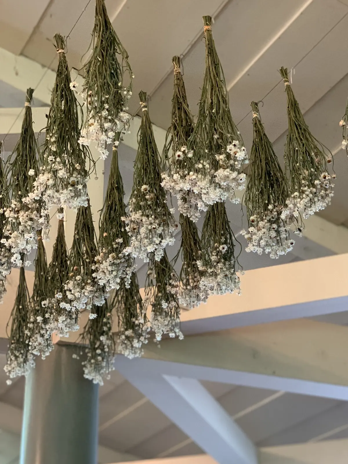 ペーパームーン山中湖　ケーキ　店内　カフェ山中湖