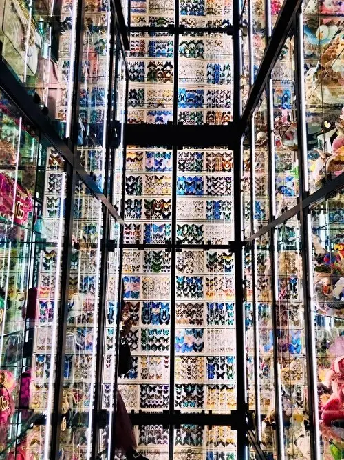 Gucci 創設100周年 感動のアートの画像_2