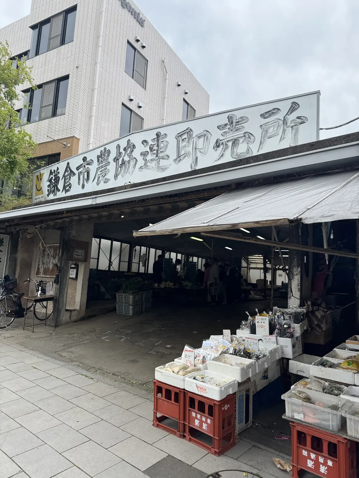 新緑の清々しい風を感じに鎌倉へ🌿の画像_13