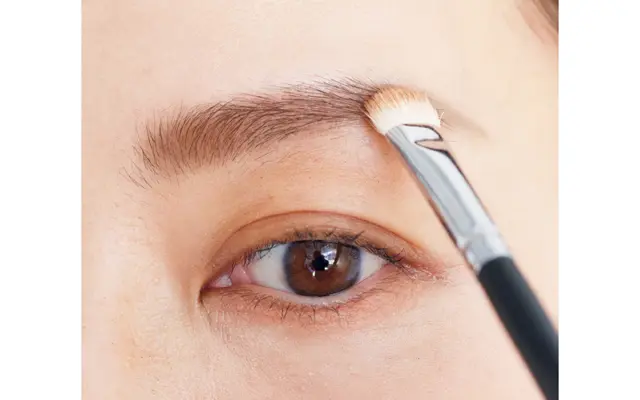 眉全体を染める