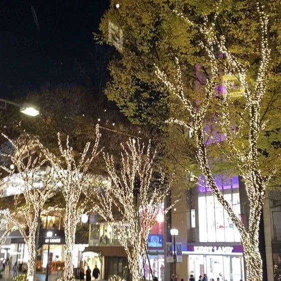 FENDIバスでイルミネーション巡り♪の画像_5