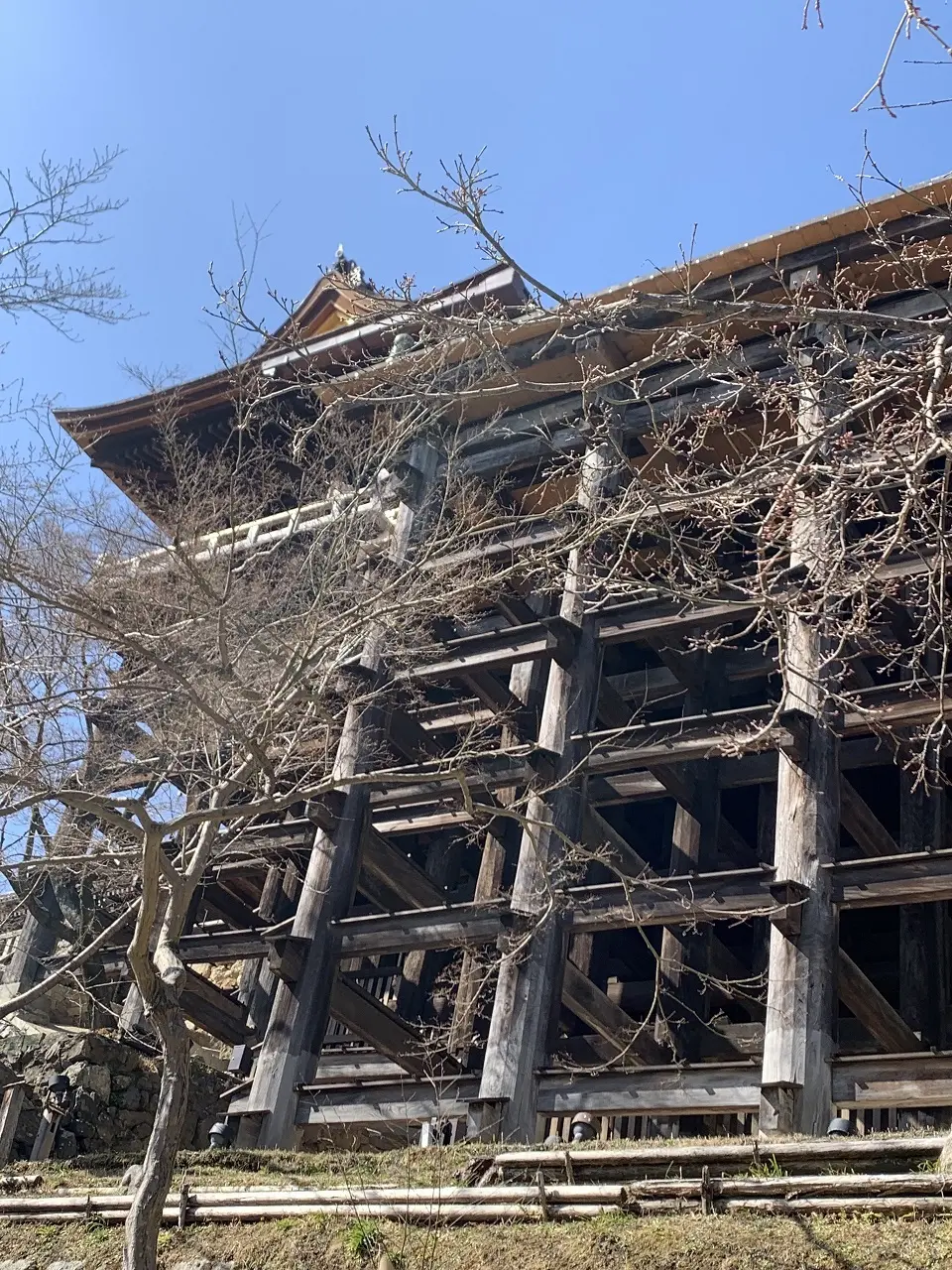 娘と春の日帰り京都旅の画像_4