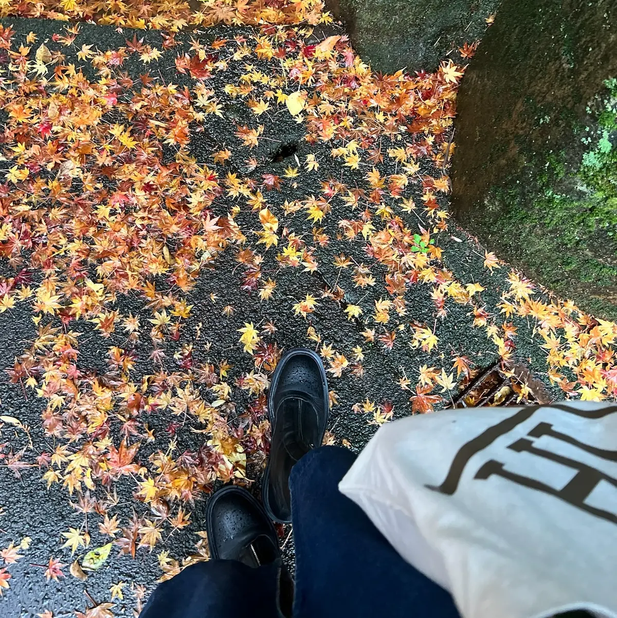 ドライブ女子旅♡雨の箱根美術館の画像_15