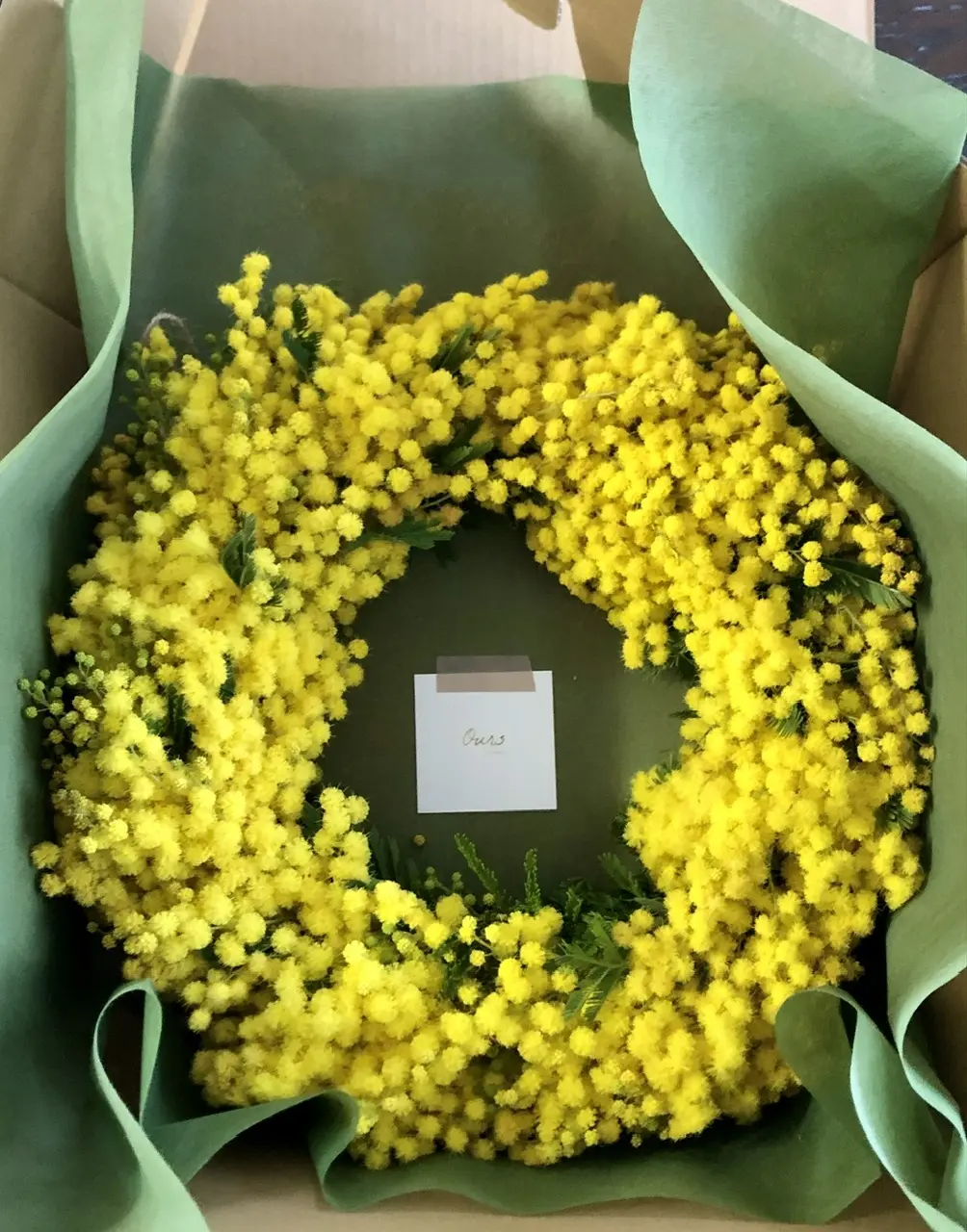 Mimosa Day 2024！！！の画像_1