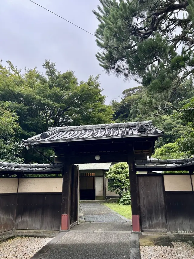 アラフィフ浴衣でお出かけの画像_1