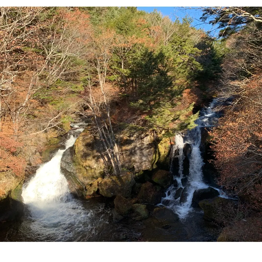 日光の紅葉スポットへの画像_1