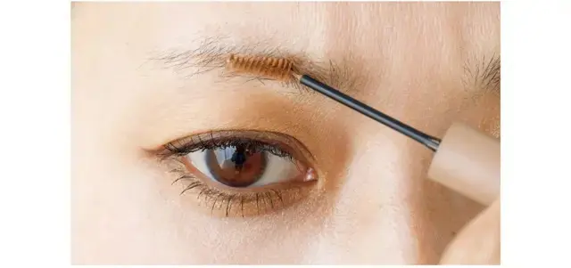 2.毛の「裏側」を着色