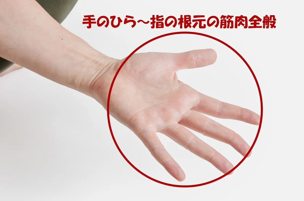 OurAge×Webエクラ　●「手のひら～指の根元」の筋肉全般に働きかける！