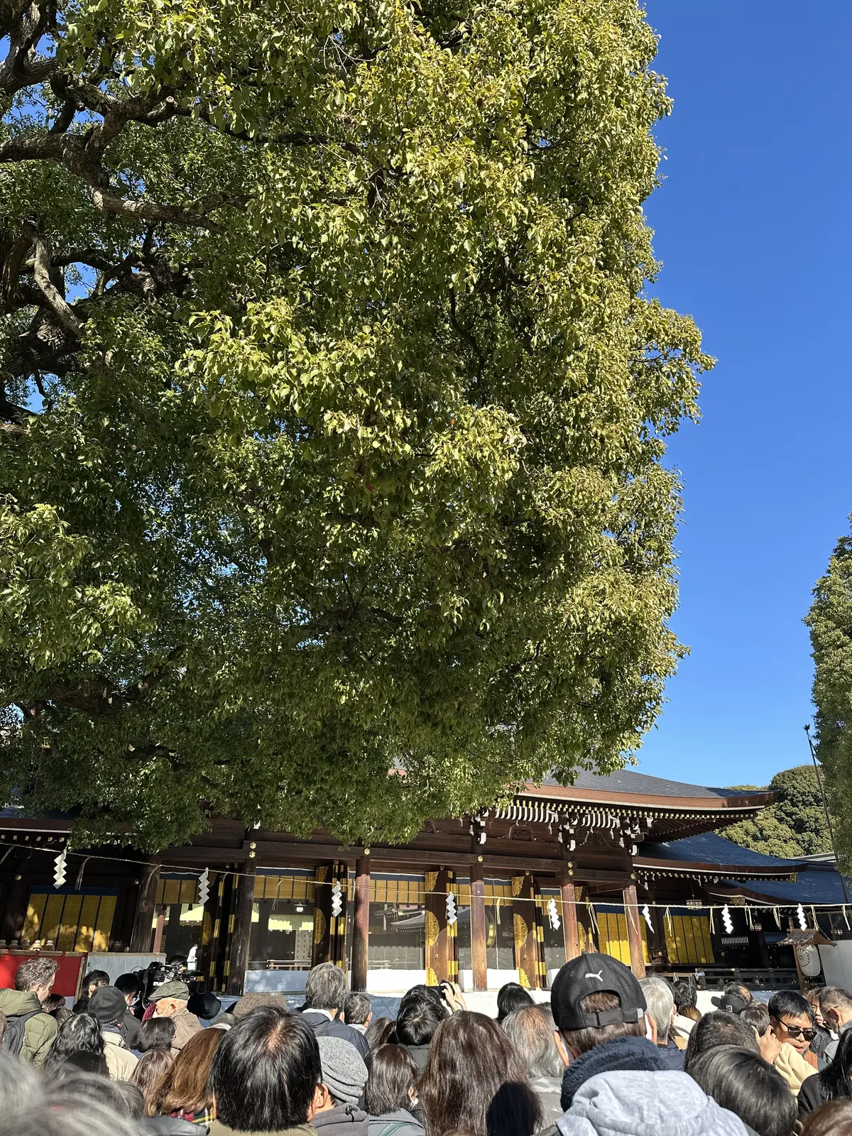 年末年始は、スニーカーコーデで参拝ついでの画像_5