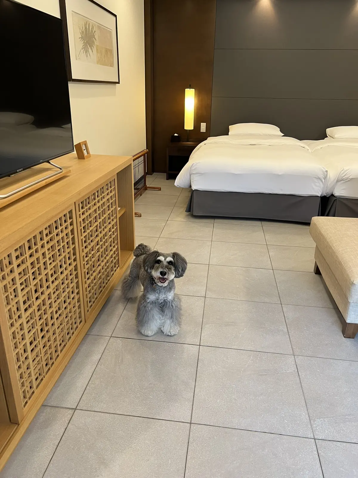 ハイアットリージェンシー箱根