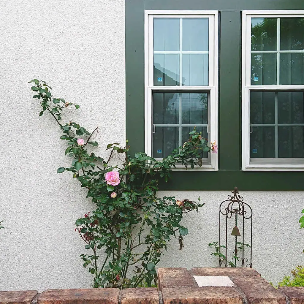 プリンセスドゥモナコ