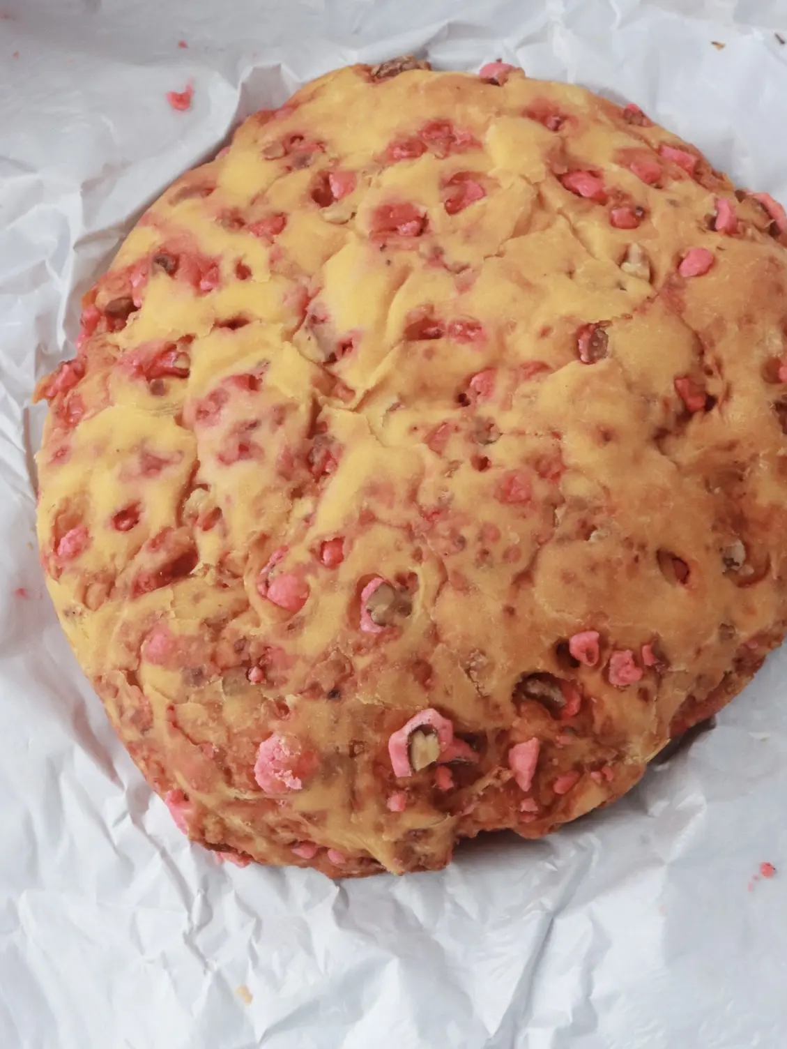 フランス　リヨン　Francois Pralus（フランソワ・プラリュ）