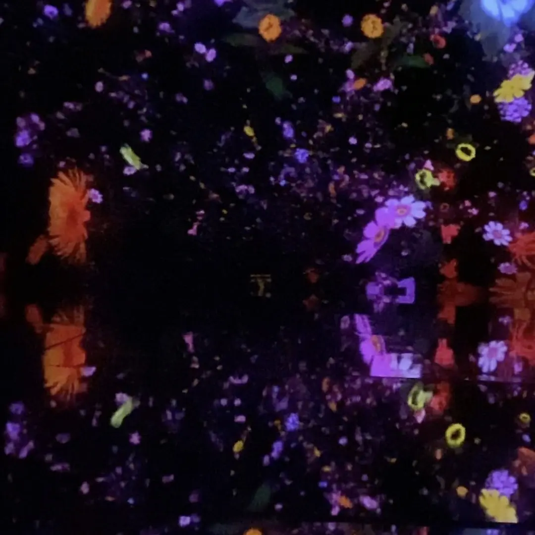 五感で楽しむデジタルアート～チームラボプの画像_3