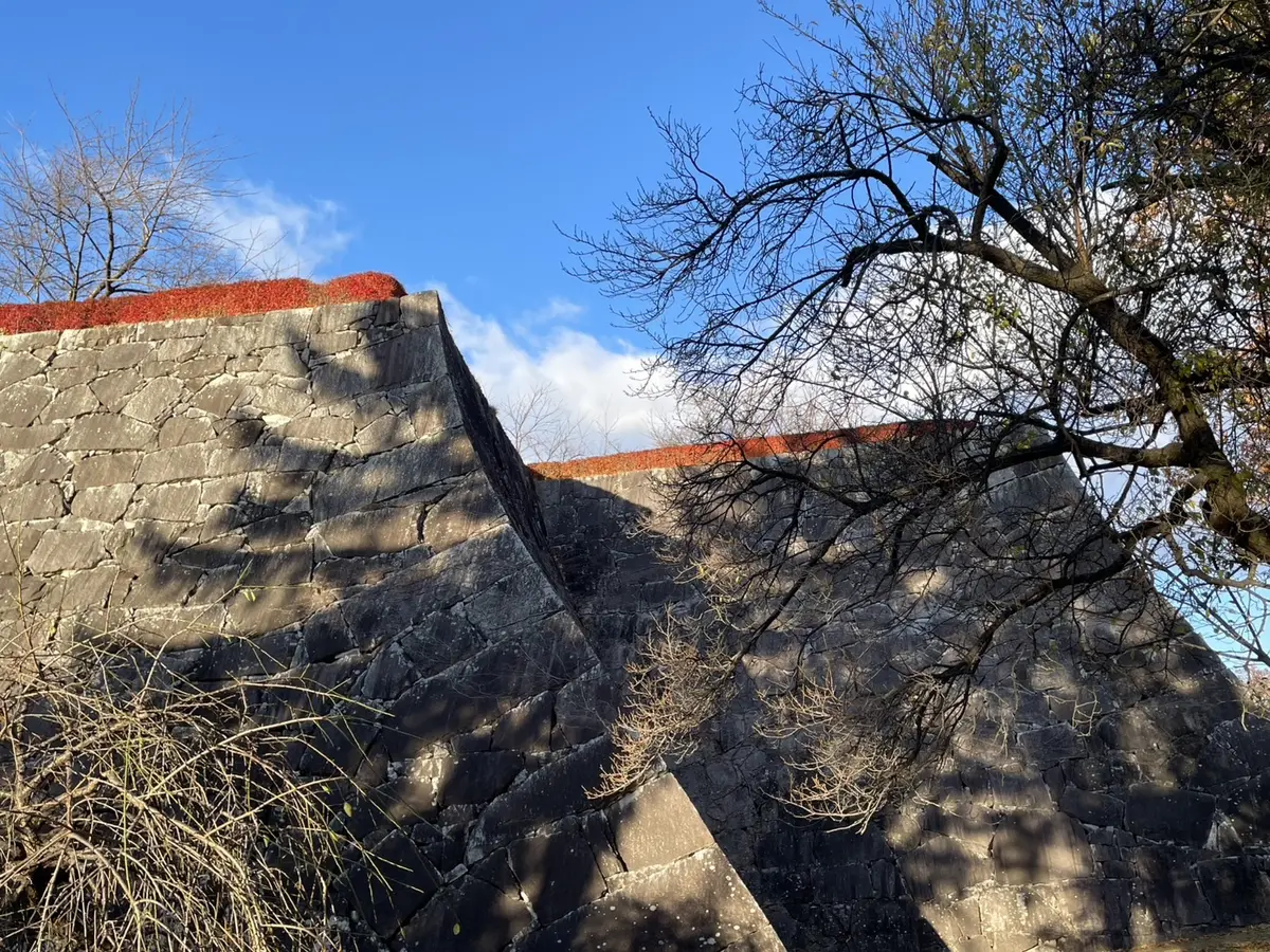 今年も穏やかに・・・お誕生日を迎える事がの画像_9