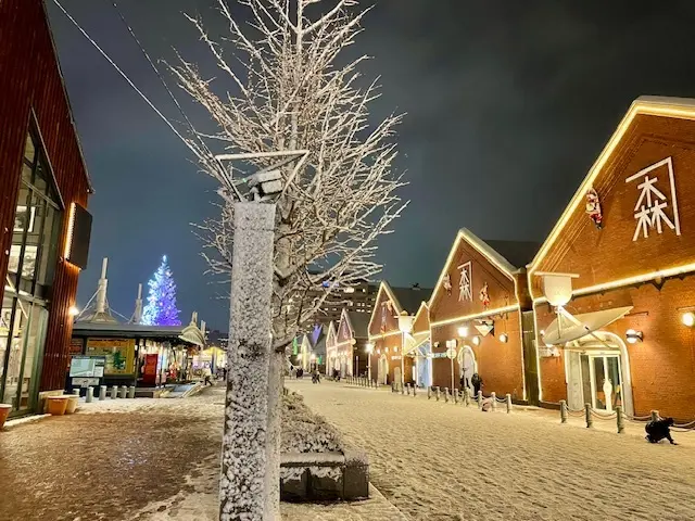 １泊２日で函館旅行♪①　☆金森赤レンガ倉の画像_5
